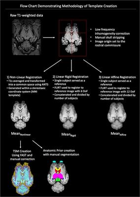 Equine Stereotaxtic Population Average Brain Atlas With Neuroanatomic Correlation